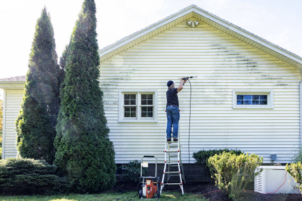 Best Gutter Cleaning and Brightening in Ellisburg, NJ